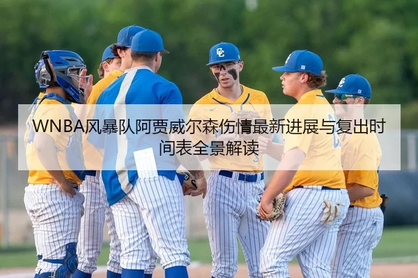 WNBA风暴队阿贾威尔森伤情最新进展与复出时间表全景解读